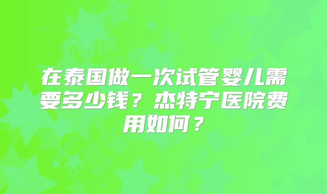 在泰国做一次试管婴儿需要多少钱？杰特宁医院费用如何？