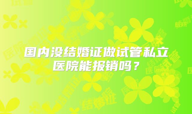 国内没结婚证做试管私立医院能报销吗？