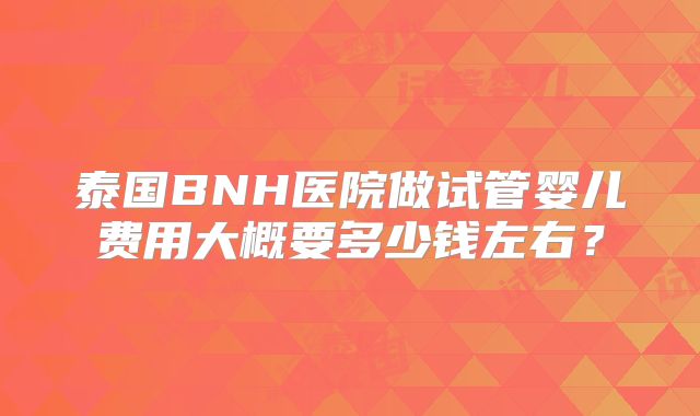 泰国BNH医院做试管婴儿费用大概要多少钱左右？
