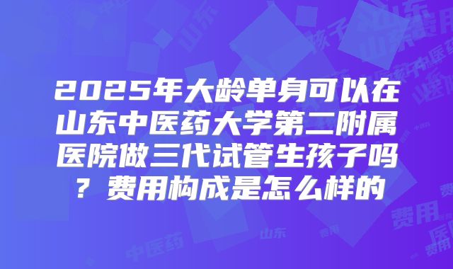 2025年大龄单身可以在山东中医药大学第二附属医院做三代试管生孩子吗？费用构成是怎么样的