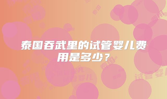 泰国吞武里的试管婴儿费用是多少？