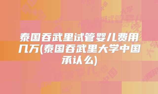 泰国吞武里试管婴儿费用几万(泰国吞武里大学中国承认么)