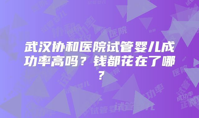 武汉协和医院试管婴儿成功率高吗？钱都花在了哪？