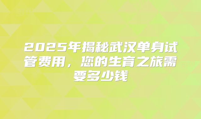 2025年揭秘武汉单身试管费用,您的生育之旅需要多少钱