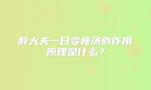 胖大夫一日变瘦汤的作用原理是什么？