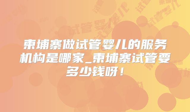 柬埔寨做试管婴儿的服务机构是哪家_柬埔寨试管要多少钱呀！