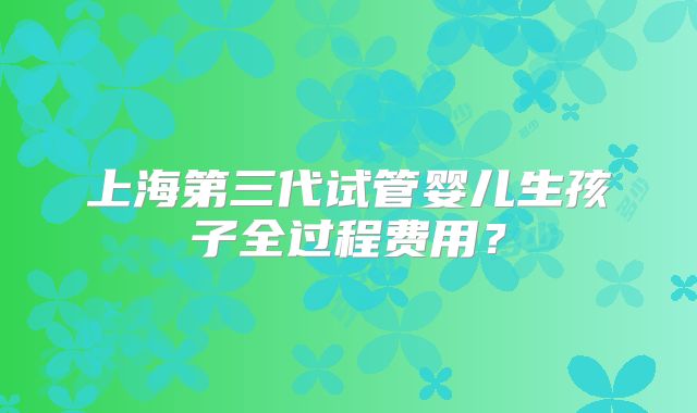 上海第三代试管婴儿生孩子全过程费用？