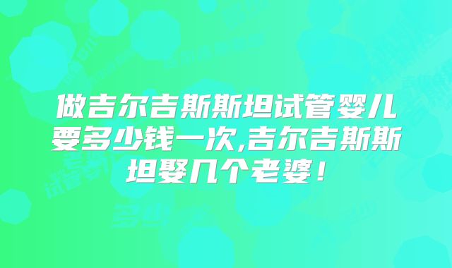 做吉尔吉斯斯坦试管婴儿要多少钱一次,吉尔吉斯斯坦娶几个老婆！