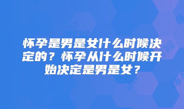 怀孕是男是女什么时候决定的？怀孕从什么时候开始决定是男是女？