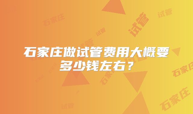 石家庄做试管费用大概要多少钱左右？