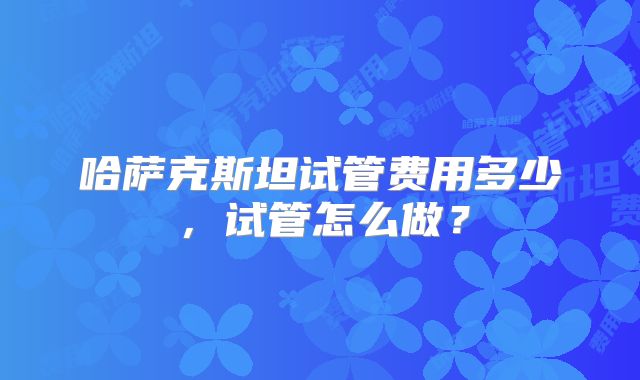 哈萨克斯坦试管费用多少，试管怎么做？