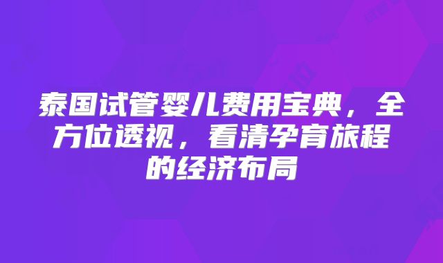 泰国试管婴儿费用宝典，全方位透视，看清孕育旅程的经济布局