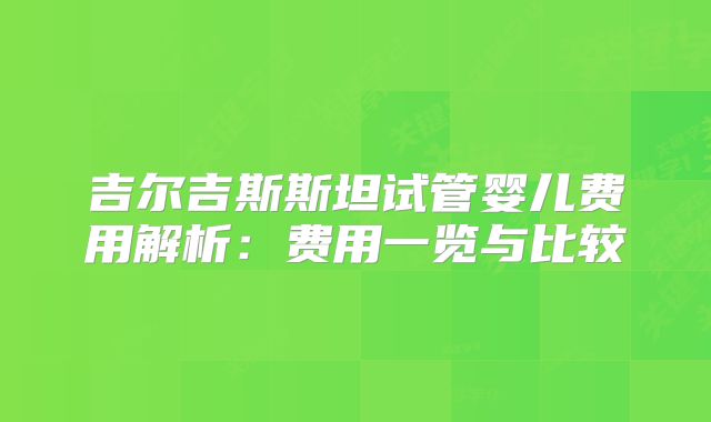 吉尔吉斯斯坦试管婴儿费用解析：费用一览与比较