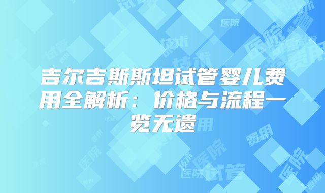 吉尔吉斯斯坦试管婴儿费用全解析:价格与流程一览无遗