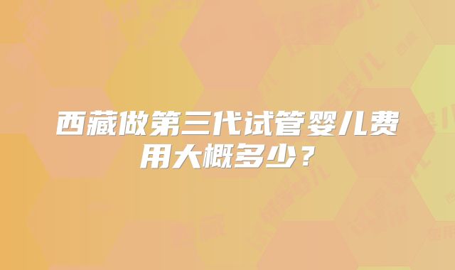西藏做第三代试管婴儿费用大概多少？