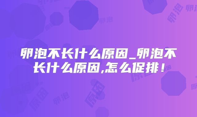 卵泡不长什么原因_卵泡不长什么原因,怎么促排!