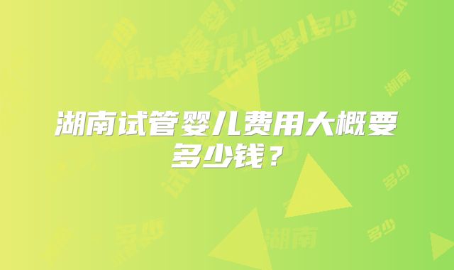 湖南试管婴儿费用大概要多少钱?