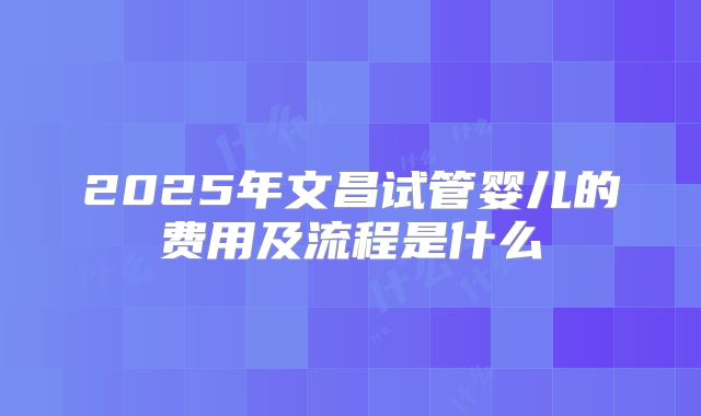 2025年文昌试管婴儿的费用及流程是什么