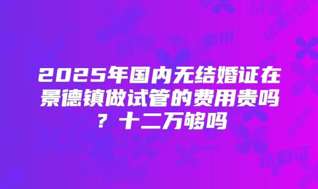 2025年国内无结婚证在景德镇做试管的费用贵吗?十二万够吗