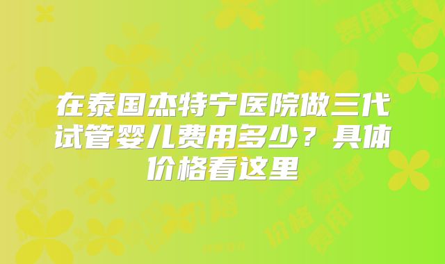 在泰国杰特宁医院做三代试管婴儿费用多少?具体价格看这里