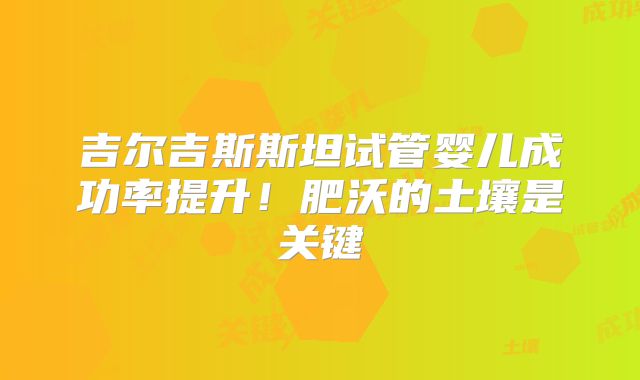 吉尔吉斯斯坦试管婴儿成功率提升!肥沃的土壤是关键