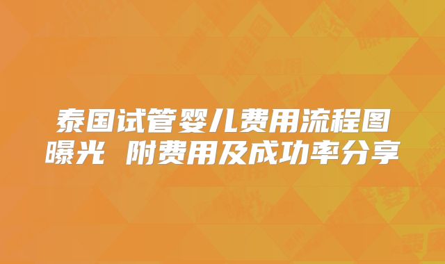 泰国试管婴儿费用流程图曝光 附费用及成功率分享