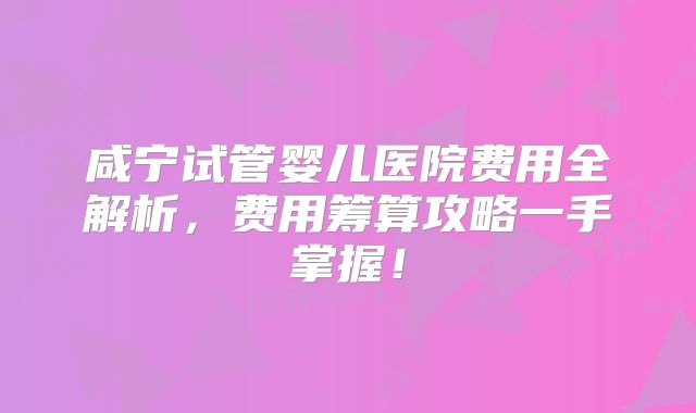 咸宁试管婴儿医院费用全解析,费用筹算攻略一手掌握!