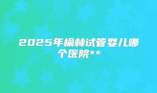 2025年榆林试管婴儿哪个医院**