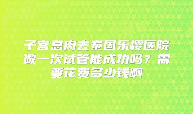 子宫息肉去泰国乐樱医院做一次试管能成功吗？需要花费多少钱啊