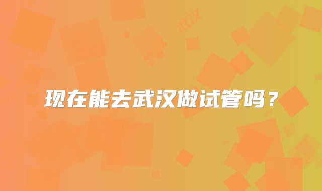 现在能去武汉做试管吗？