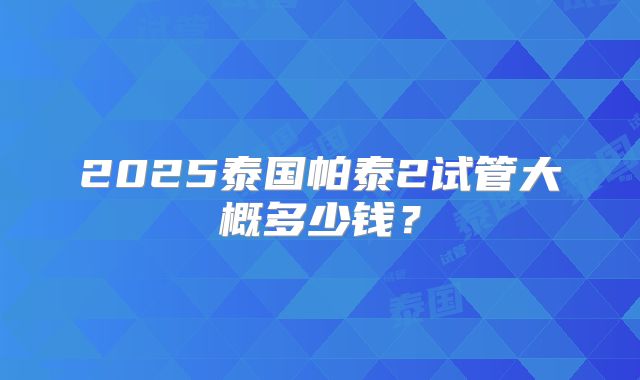 2025泰国帕泰2试管大概多少钱？
