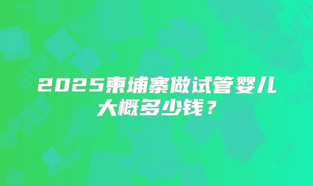 2025柬埔寨做试管婴儿大概多少钱？