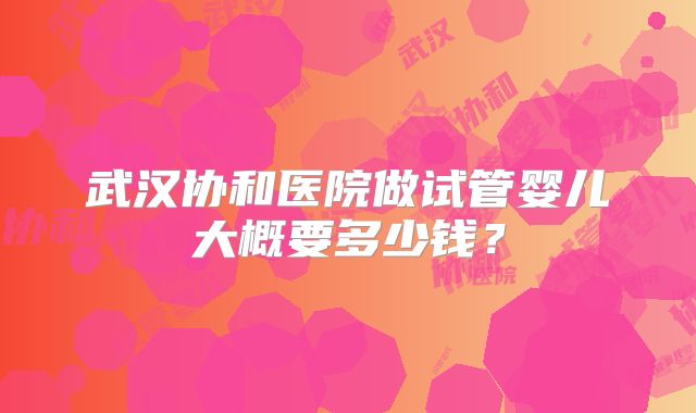 武汉协和医院做试管婴儿大概要多少钱?