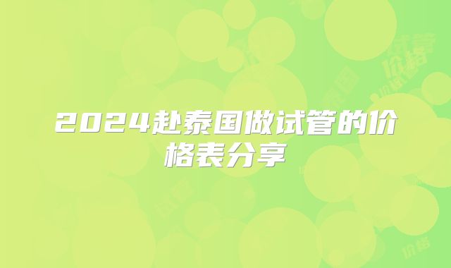 2024赴泰国做试管的价格表分享