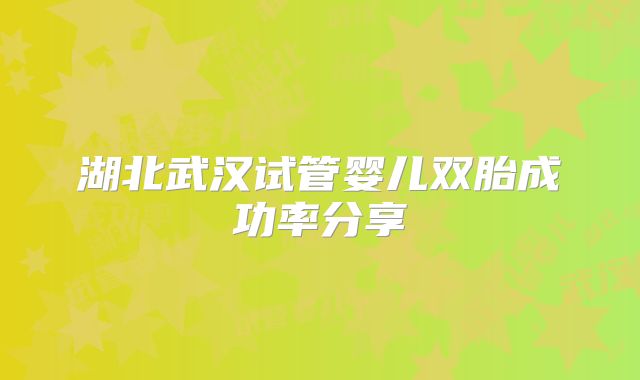 湖北武汉试管婴儿双胎成功率分享