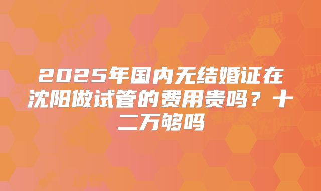 2025年国内无结婚证在沈阳做试管的费用贵吗?十二万够吗