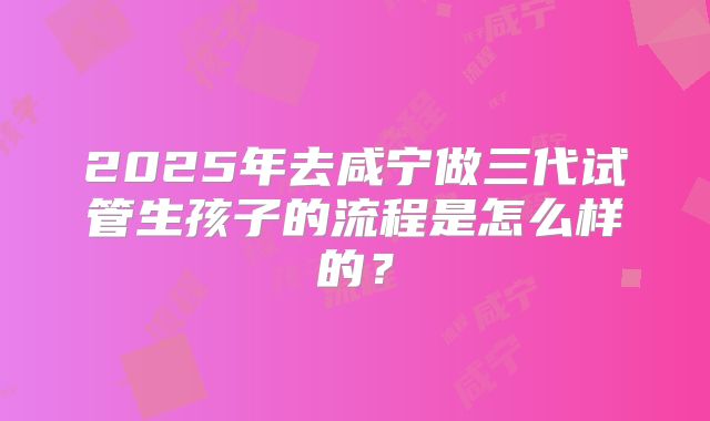 2025年去咸宁做三代试管生孩子的流程是怎么样的？