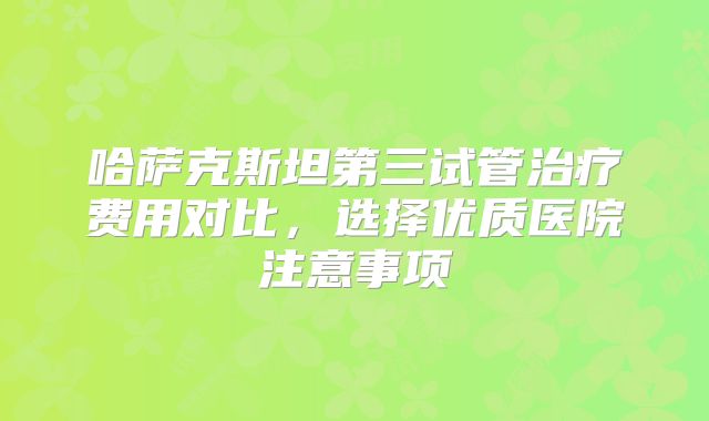 哈萨克斯坦第三试管治疗费用对比,选择优质医院注意事项