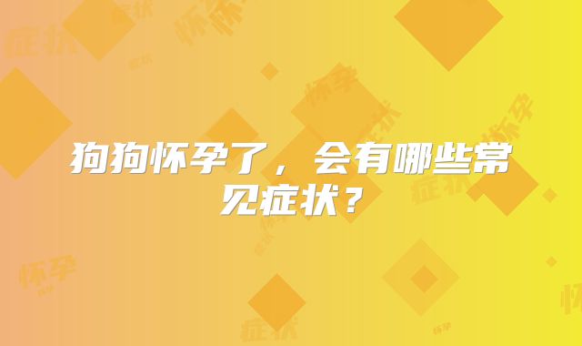 狗狗怀孕了，会有哪些常见症状？