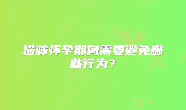 猫咪怀孕期间需要避免哪些行为？