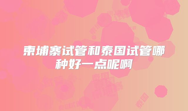柬埔寨试管和泰国试管哪种好一点呢啊