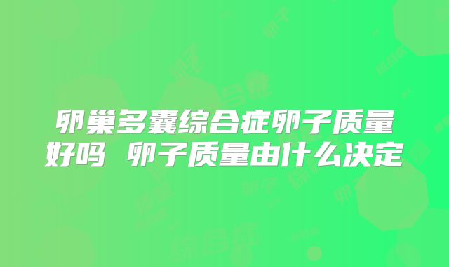 卵巢多囊综合症卵子质量好吗 卵子质量由什么决定