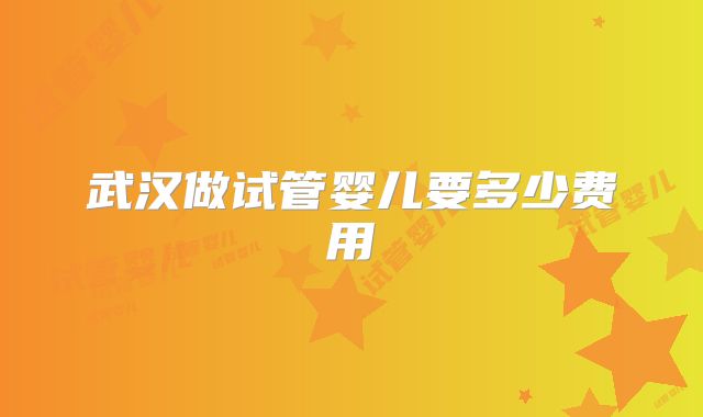 武汉做试管婴儿要多少费用