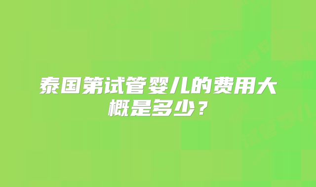 泰国第试管婴儿的费用大概是多少?