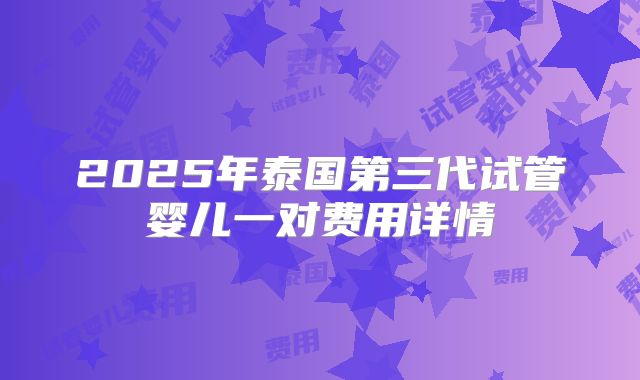 2025年泰国第三代试管婴儿一对费用详情
