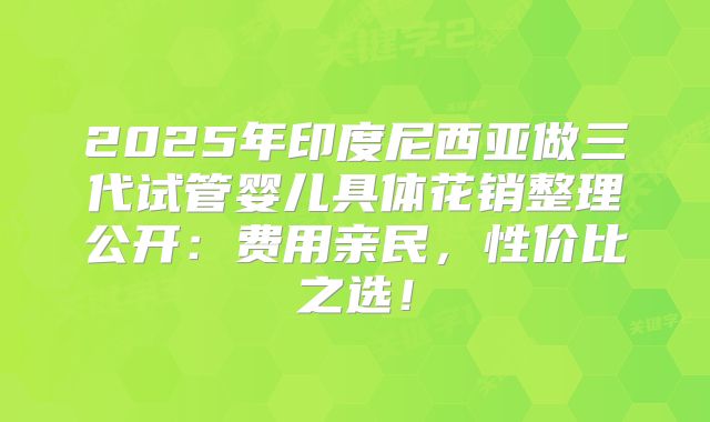 2025年印度尼西亚做三代试管婴儿具体花销整理公开:费用亲民,性价比之选!