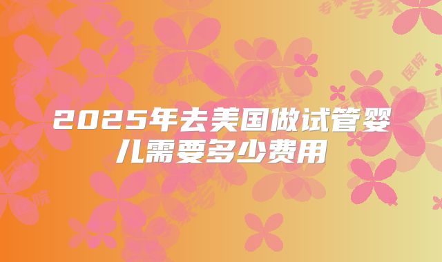 2025年去美国做试管婴儿需要多少费用