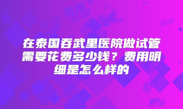 在泰国吞武里医院做试管需要花费多少钱?费用明细是怎么样的