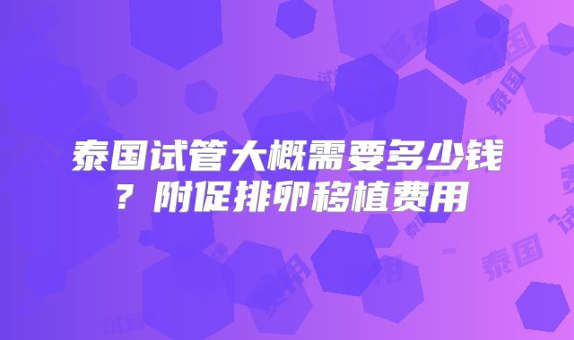 泰国试管大概需要多少钱？附促排卵移植费用