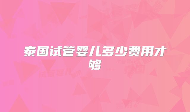 泰国试管婴儿多少费用才够